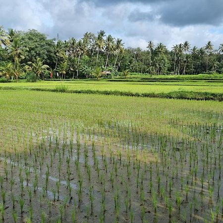 New 4 Bedroom Villa Surrounded By Jungle And Ricefields อูบุด ภายนอก รูปภาพ