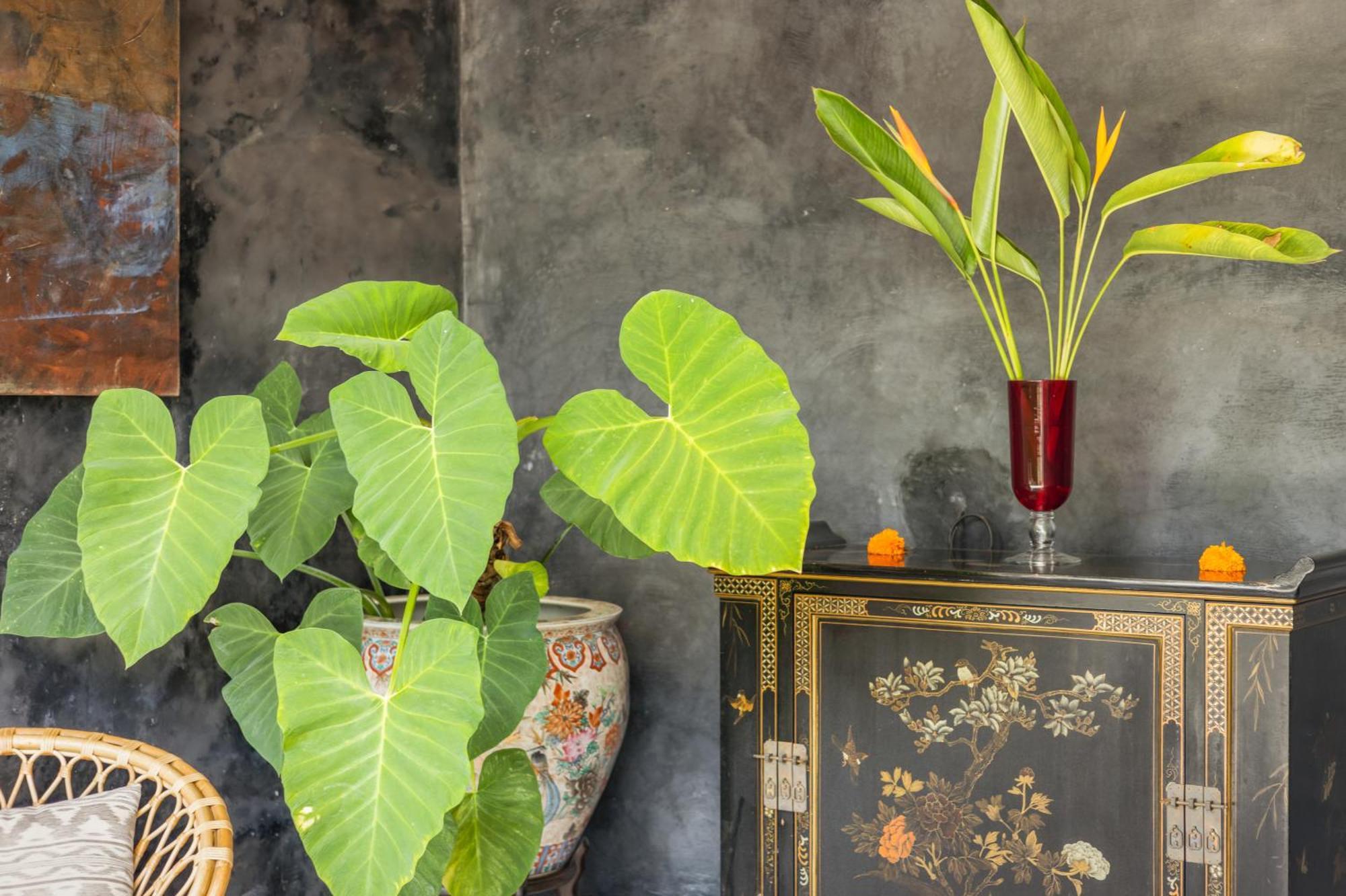 New 4 Bedroom Villa Surrounded By Jungle And Ricefields อูบุด ภายนอก รูปภาพ